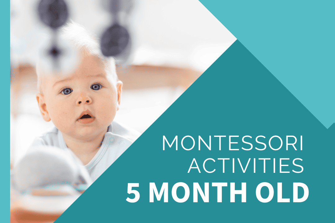 5 Month Old Montessori Activities