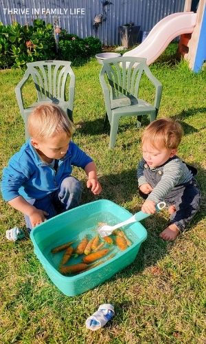 Montessori activities 12 month old and 2 year old washing garden carrots in green washtub in backyard with scrubbrush.