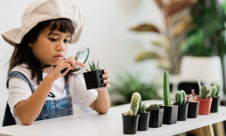 girl student looking at succulents with magnifying glass with a line of plants on the table. 
