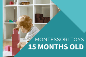Montessori Toys 15 Months
